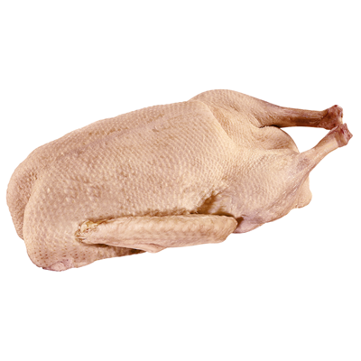 Deutsche Frischgänse   (ab 26.11.25 !!)